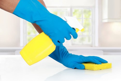Professional cleaners working in a Kentish Town home