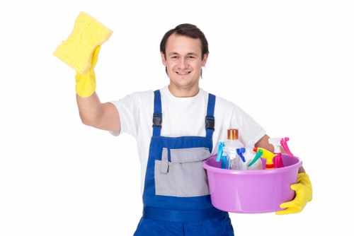 Kitchen oven cleaning supplies arranged for safe use