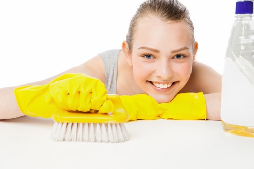 Professional Airbnb cleaning service sanitizing a bathroom