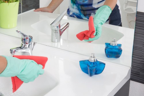 Eco-friendly tools used for house cleaning