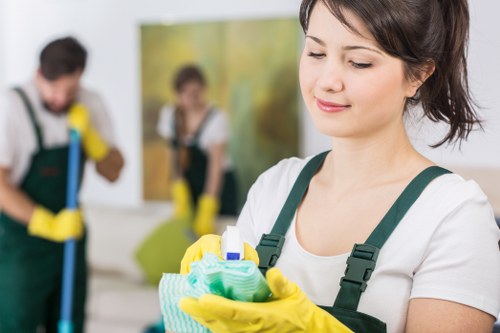 Move in cleaning bathroom with disinfected surfaces