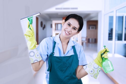 Weekly sofa cleaning and vacuuming routine at home