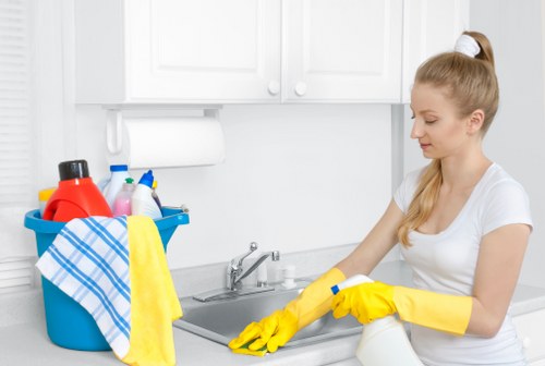 Professional move in cleaning in a new home